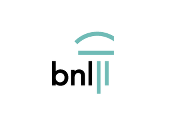 bnl logo 4